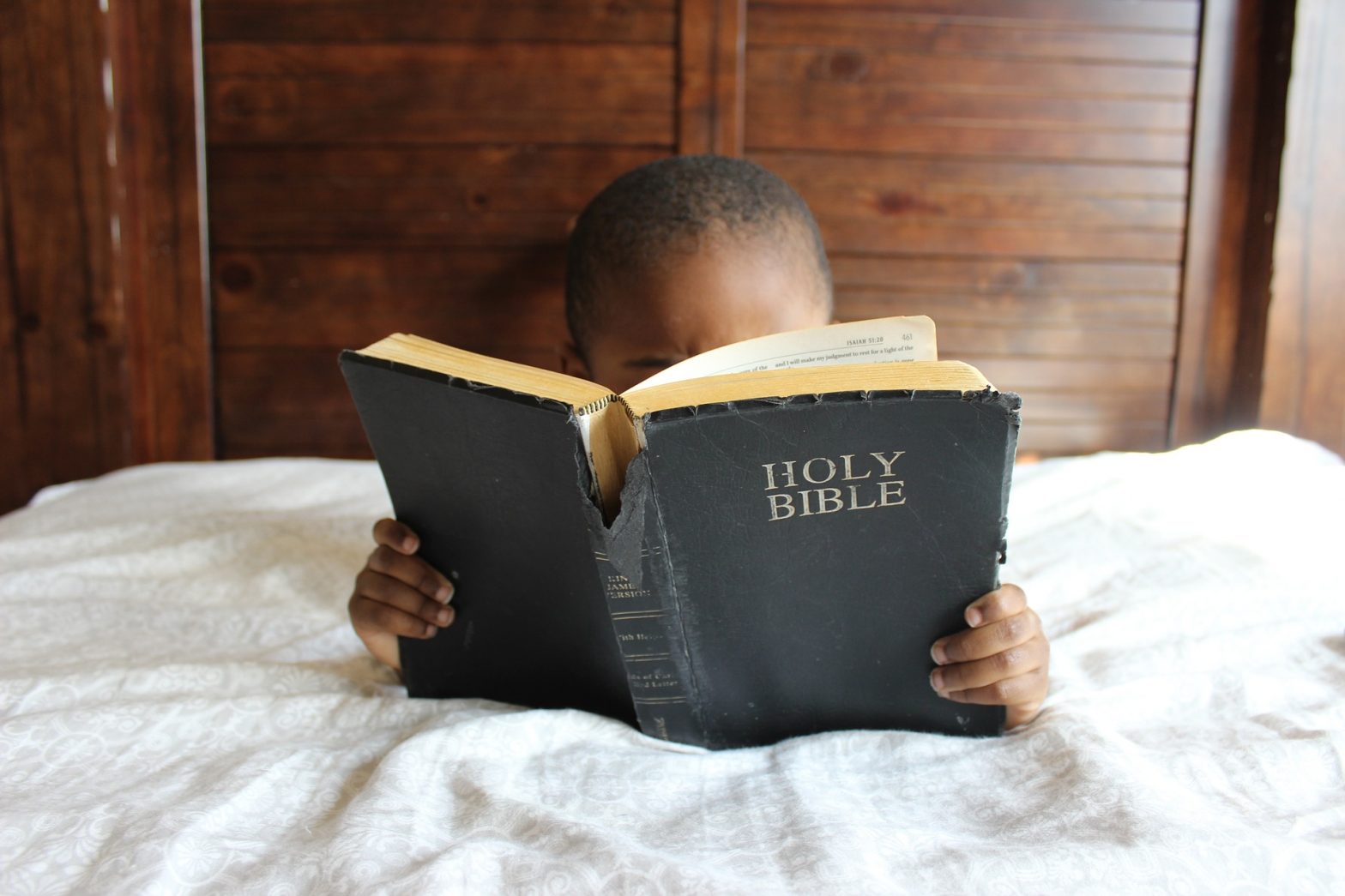 Die Bibel und andere Bravourstücke
